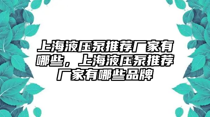 上海液壓泵推薦廠家有哪些，上海液壓泵推薦廠家有哪些品牌