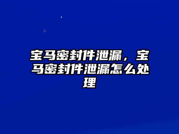 寶馬密封件泄漏，寶馬密封件泄漏怎么處理