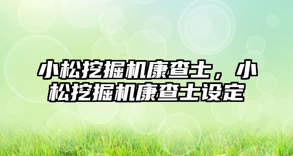 小松挖掘機康查士，小松挖掘機康查士設(shè)定