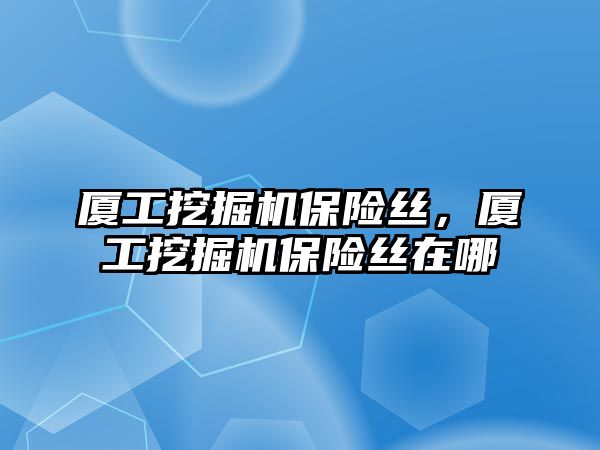 廈工挖掘機保險絲，廈工挖掘機保險絲在哪