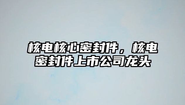 核電核心密封件，核電密封件上市公司龍頭