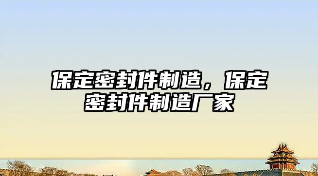 保定密封件制造，保定密封件制造廠家