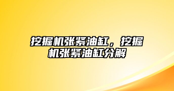 挖掘機張緊油缸，挖掘機張緊油缸分解