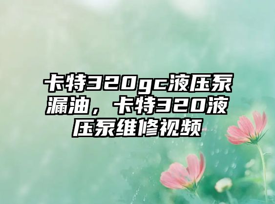 卡特320gc液壓泵漏油，卡特320液壓泵維修視頻