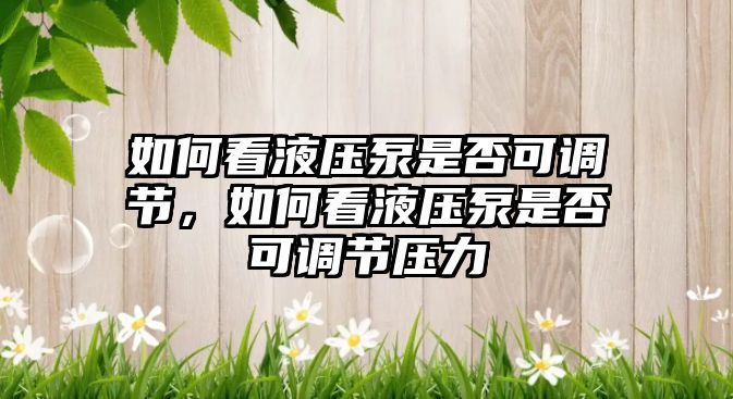 如何看液壓泵是否可調(diào)節(jié)，如何看液壓泵是否可調(diào)節(jié)壓力