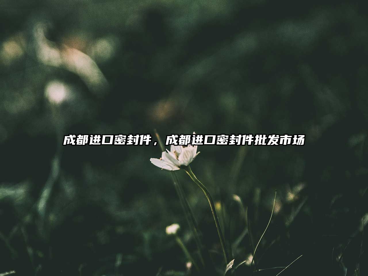 成都進(jìn)口密封件，成都進(jìn)口密封件批發(fā)市場(chǎng)