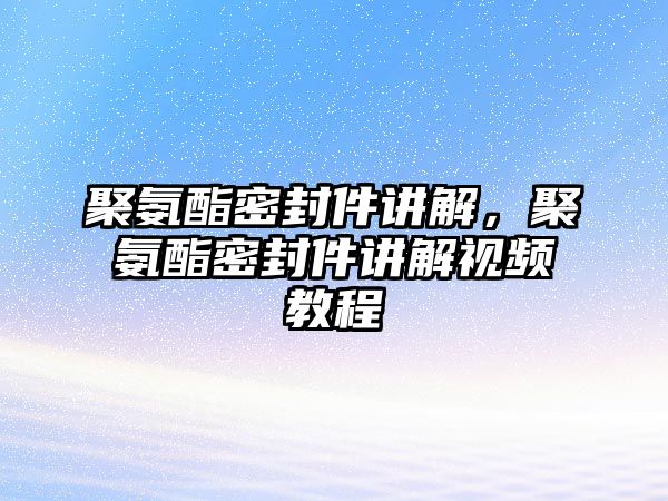 聚氨酯密封件講解，聚氨酯密封件講解視頻教程