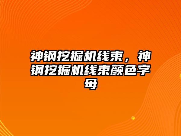 神鋼挖掘機線束，神鋼挖掘機線束顏色字母