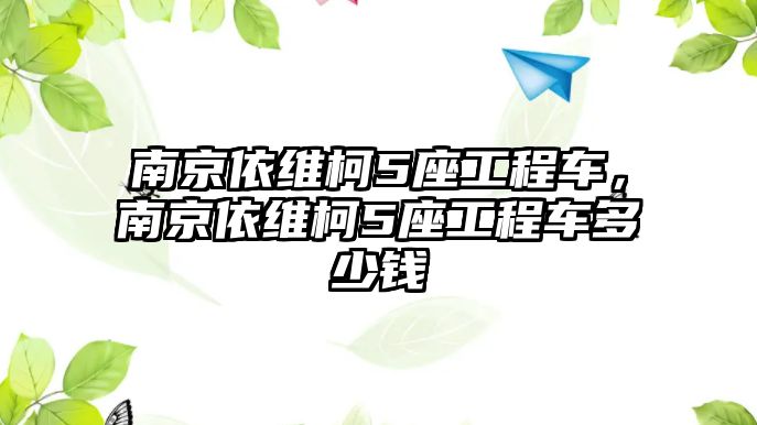 南京依維柯5座工程車，南京依維柯5座工程車多少錢