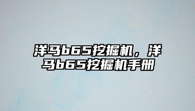 洋馬b65挖掘機，洋馬b65挖掘機手冊