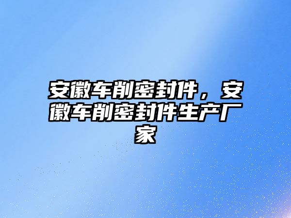 安徽車削密封件，安徽車削密封件生產廠家