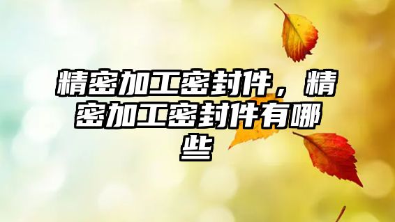 精密加工密封件，精密加工密封件有哪些