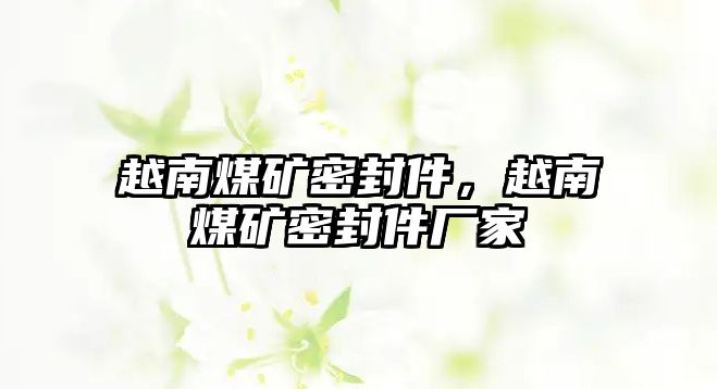 越南煤礦密封件，越南煤礦密封件廠家