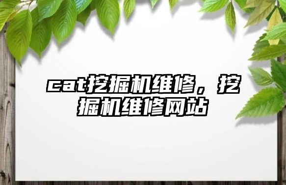 cat挖掘機維修，挖掘機維修網(wǎng)站