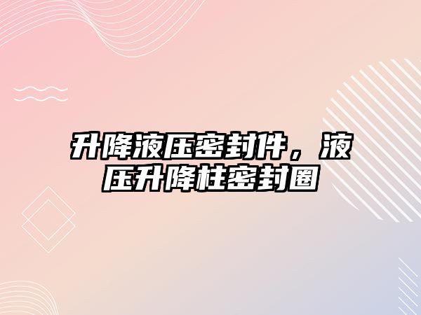 升降液壓密封件，液壓升降柱密封圈