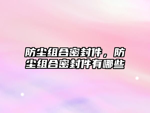 防塵組合密封件，防塵組合密封件有哪些