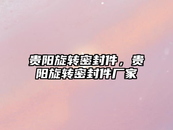 貴陽旋轉(zhuǎn)密封件，貴陽旋轉(zhuǎn)密封件廠家