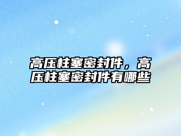 高壓柱塞密封件，高壓柱塞密封件有哪些