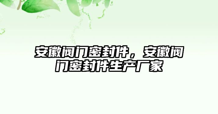 安徽閥門密封件，安徽閥門密封件生產(chǎn)廠家