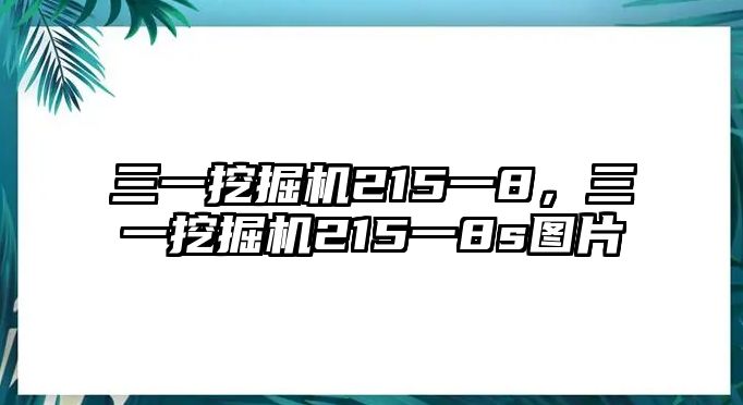 三一挖掘機(jī)215一8，三一挖掘機(jī)215一8s圖片