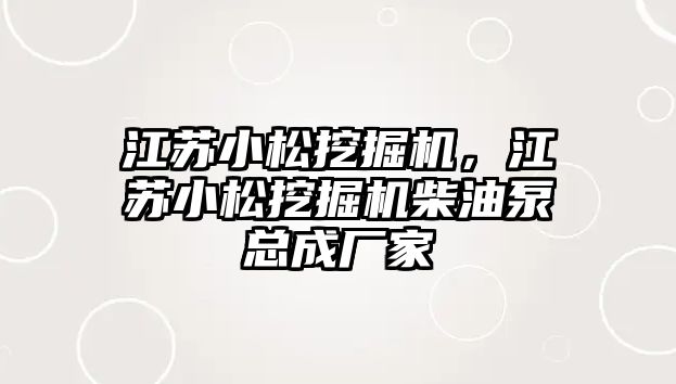 江蘇小松挖掘機，江蘇小松挖掘機柴油泵總成廠家