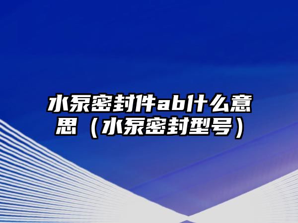 水泵密封件ab什么意思（水泵密封型號(hào)）