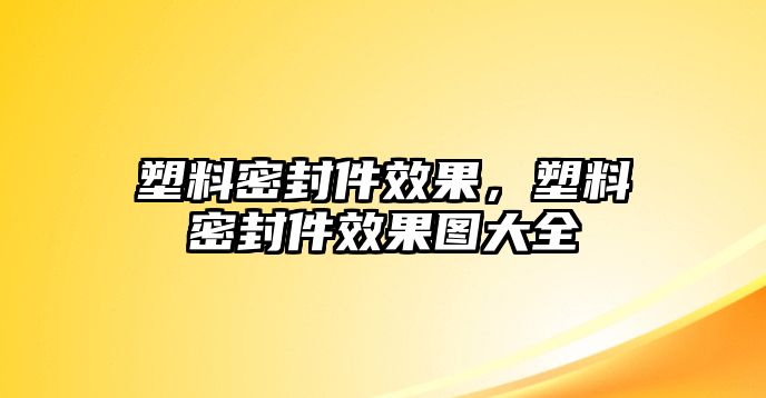 塑料密封件效果，塑料密封件效果圖大全