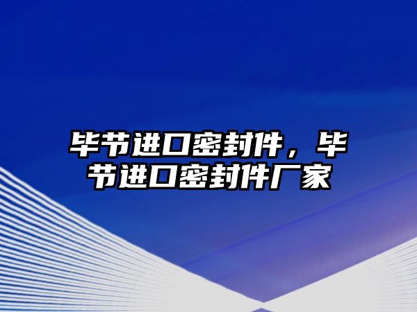 畢節(jié)進(jìn)口密封件，畢節(jié)進(jìn)口密封件廠家