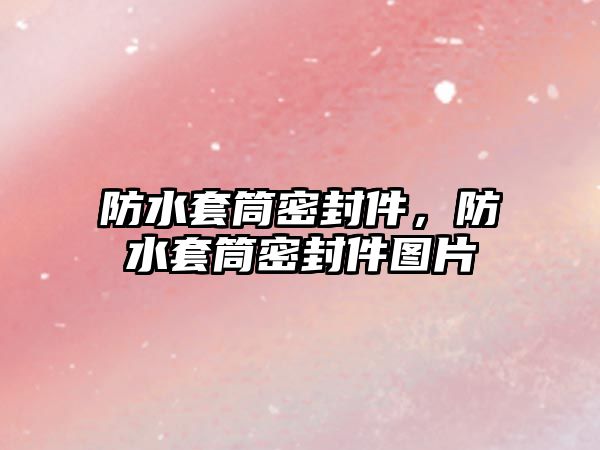 防水套筒密封件，防水套筒密封件圖片