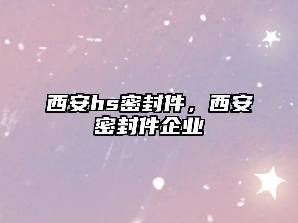 西安hs密封件，西安密封件企業(yè)