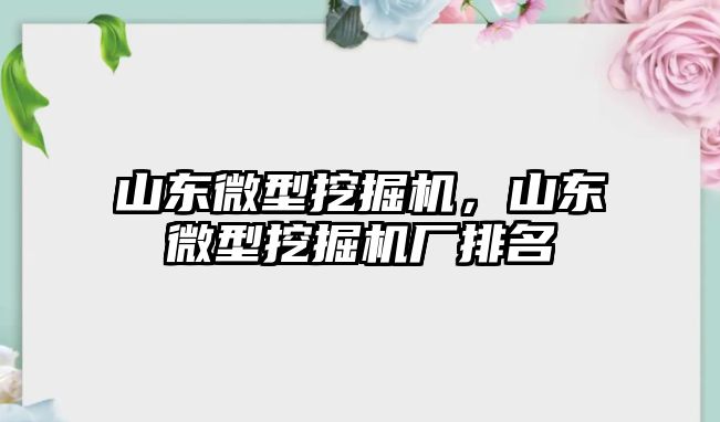 山東微型挖掘機，山東微型挖掘機廠排名