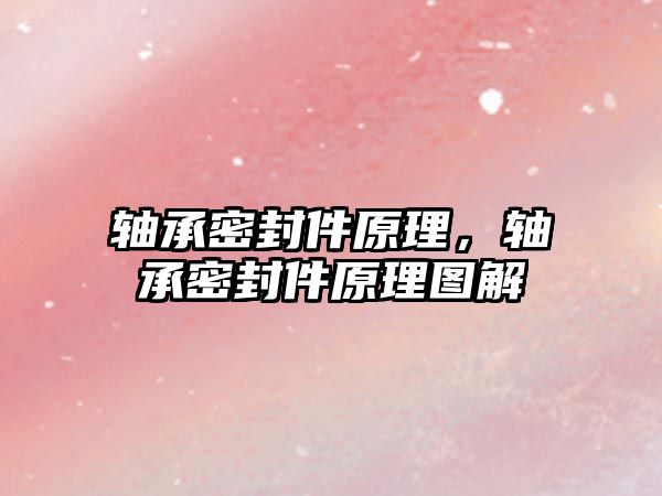 軸承密封件原理，軸承密封件原理圖解