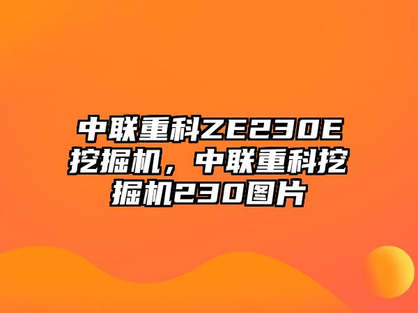 中聯(lián)重科ZE230E挖掘機(jī)，中聯(lián)重科挖掘機(jī)230圖片