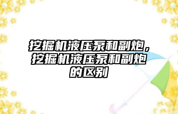 挖掘機液壓泵和副炮，挖掘機液壓泵和副炮的區(qū)別