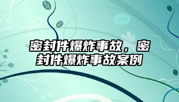 密封件爆炸事故，密封件爆炸事故案例