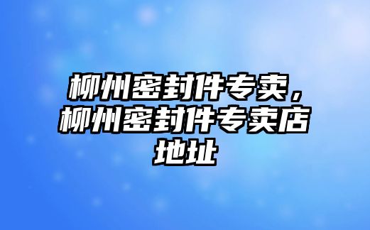 柳州密封件專賣，柳州密封件專賣店地址