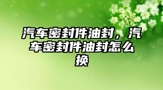 汽車密封件油封，汽車密封件油封怎么換