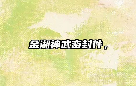 金湖神武密封件，