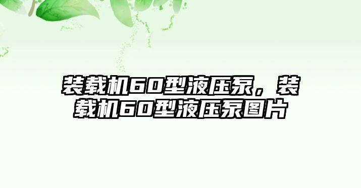 裝載機60型液壓泵，裝載機60型液壓泵圖片