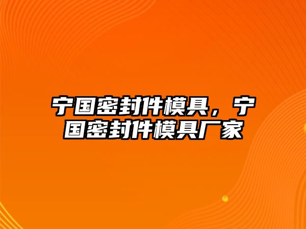 寧國(guó)密封件模具，寧國(guó)密封件模具廠家