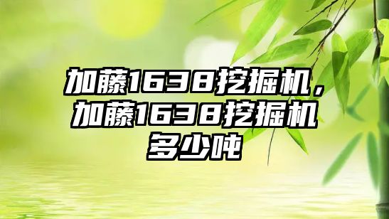 加藤1638挖掘機(jī)，加藤1638挖掘機(jī)多少噸