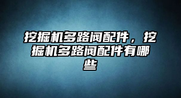 挖掘機多路閥配件，挖掘機多路閥配件有哪些