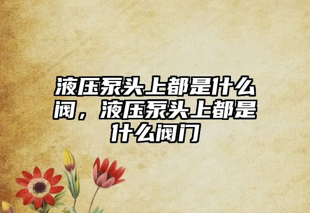 液壓泵頭上都是什么閥，液壓泵頭上都是什么閥門(mén)