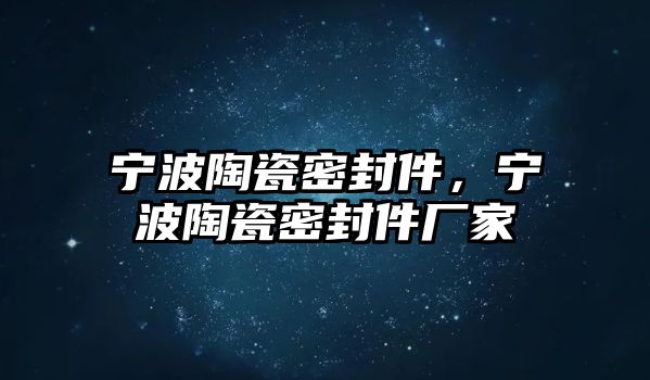 寧波陶瓷密封件，寧波陶瓷密封件廠家