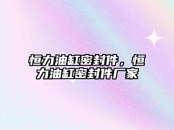 恒力油缸密封件，恒力油缸密封件廠家