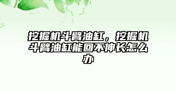 挖掘機斗臂油缸，挖掘機斗臂油缸能回不伸長怎么辦