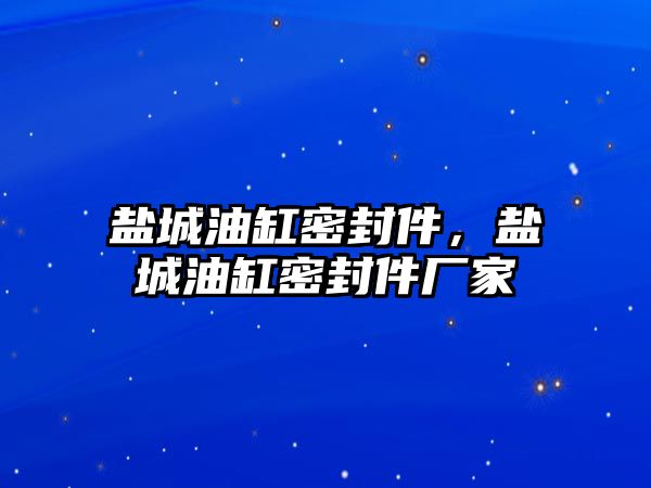 鹽城油缸密封件，鹽城油缸密封件廠家