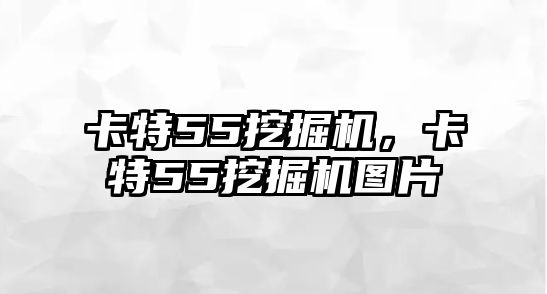 卡特55挖掘機(jī)，卡特55挖掘機(jī)圖片