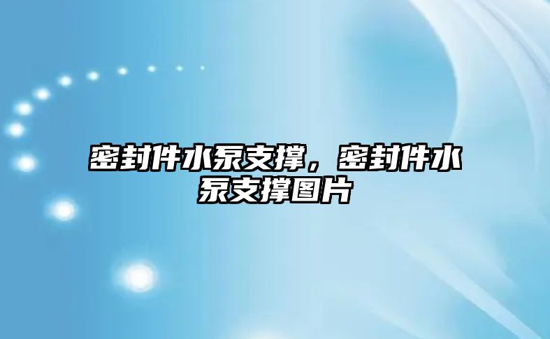 密封件水泵支撐，密封件水泵支撐圖片