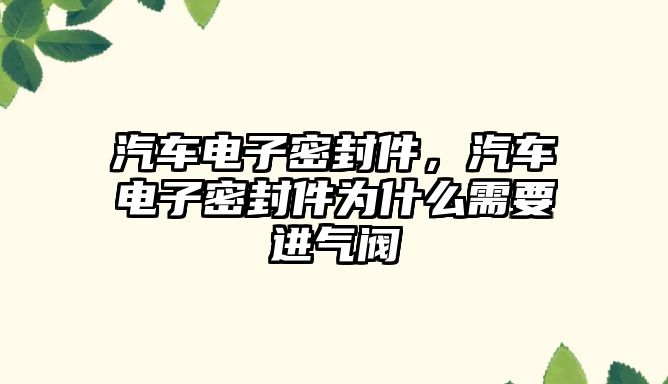 汽車電子密封件，汽車電子密封件為什么需要進(jìn)氣閥